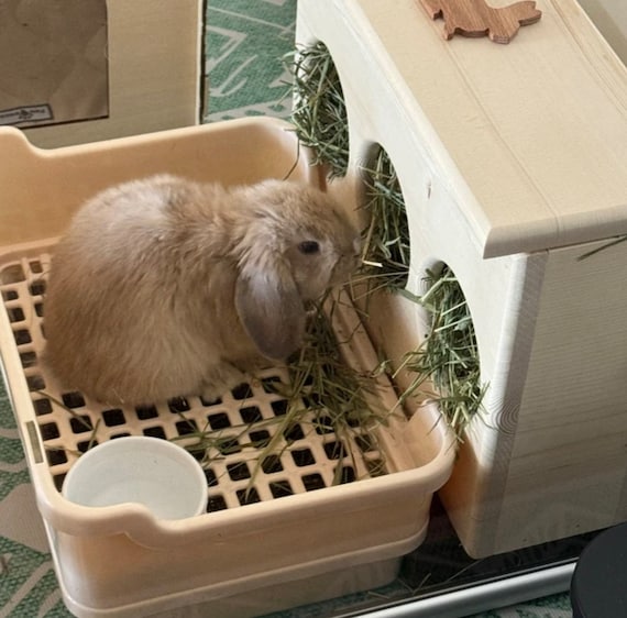 Rabbit Hay Feeder slim Fit for Tight Spaces Etsy