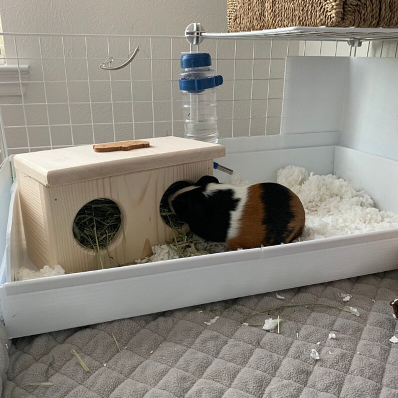 Guinea Pig Hay Feeder Etsy