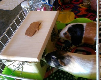 Hay feeder for guinea pigs