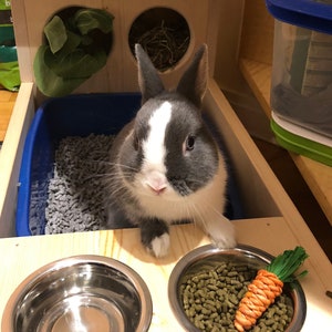 Hay Feeder With Litter Box Food and Water Bowls for pet bunny rabbit