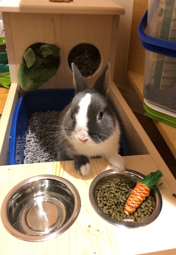 bunny litter box