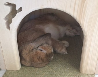 House for pet bunny rabbit