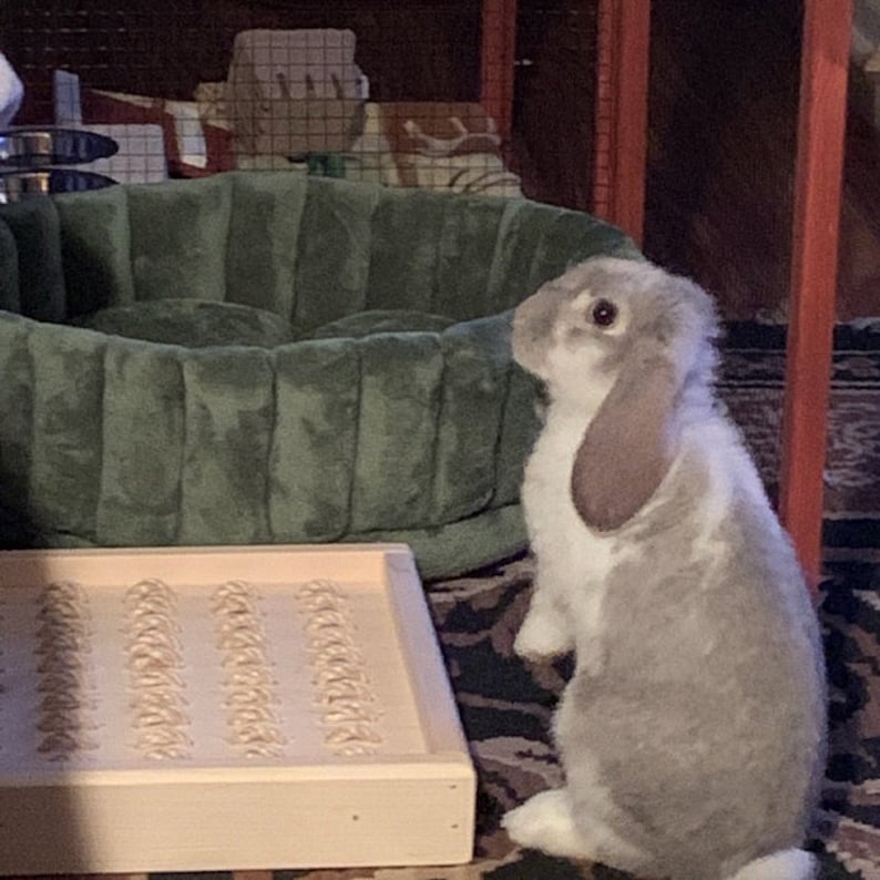 Bunny Rabbit Sisal Digging Box Etsy