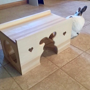 Tunnel house for pet bunny rabbit