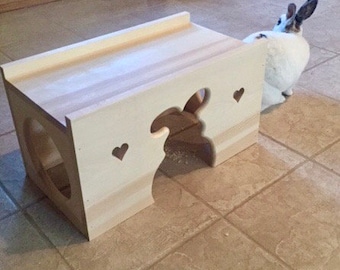 Tunnel house for pet bunny rabbit