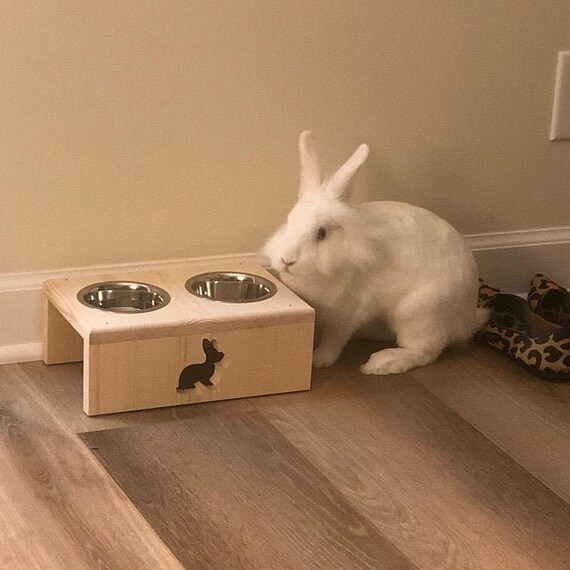 big max drinking fountain