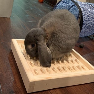 Digging Box for pet bunny rabbit, sisal digging box image 1