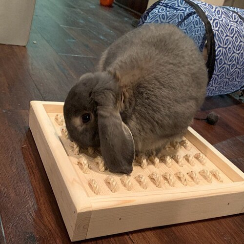 Bunny Rabbit Sisal Digging Box Etsy