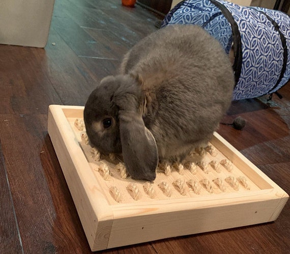 Digging Box for Pet Bunny Rabbit Sisal Digging Box Etsy