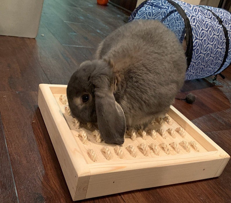 Digging Box for pet bunny rabbit, sisal digging box image 1