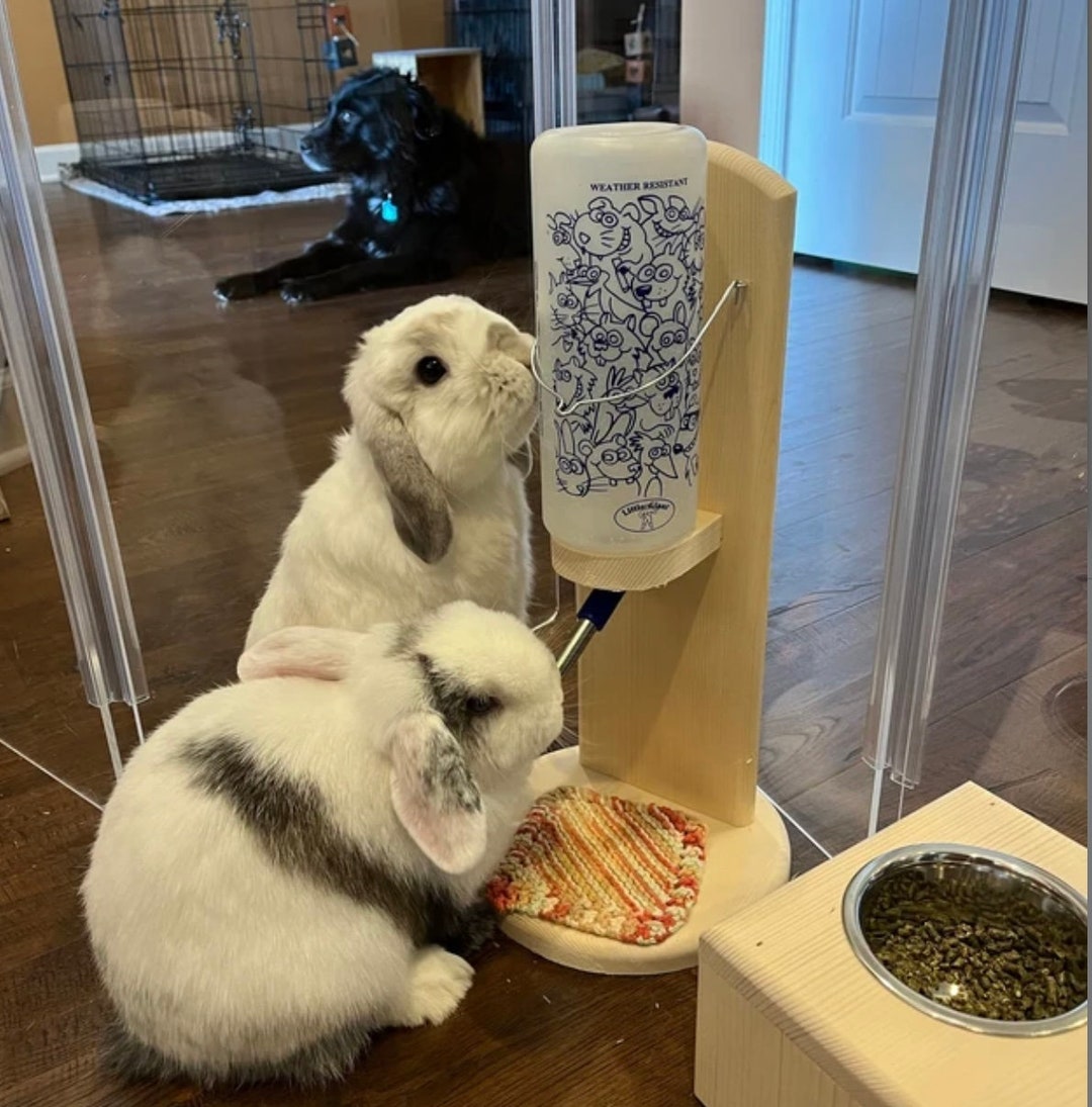 Water Bottle Holder for Rabbit Guinea Pig or Chinchilla UK