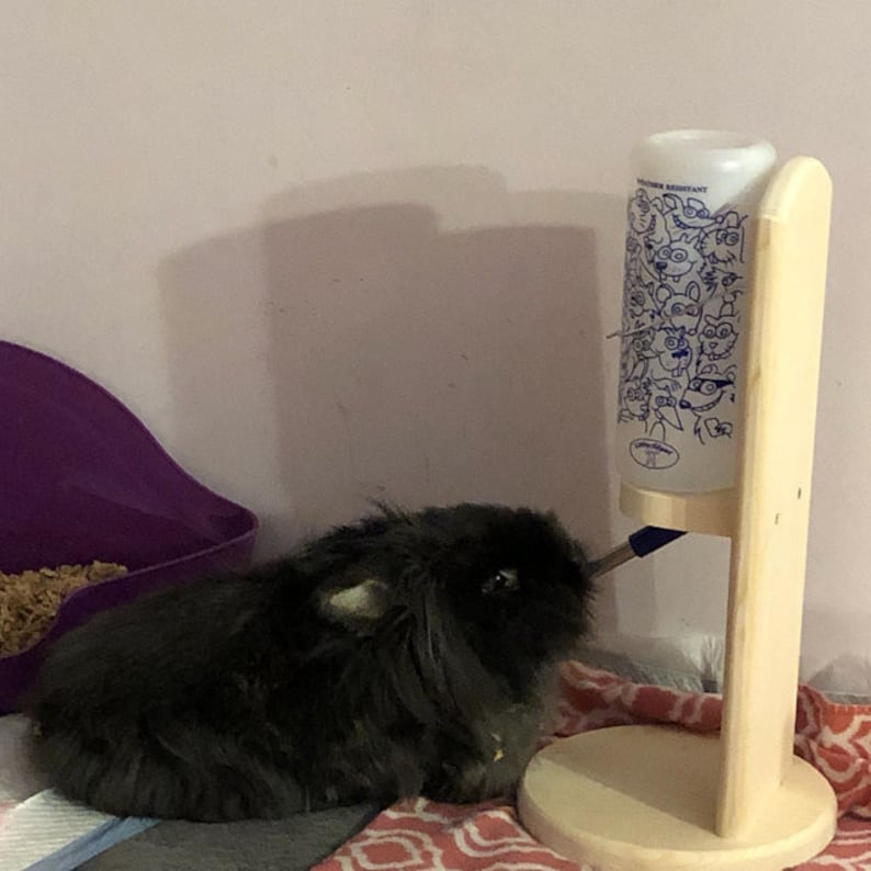 Rabbit Guinea Pig Chinchilla Water Bottle Holder Etsy