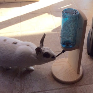 Water bottle holder for Rabbit guinea pig or chinchilla image 2