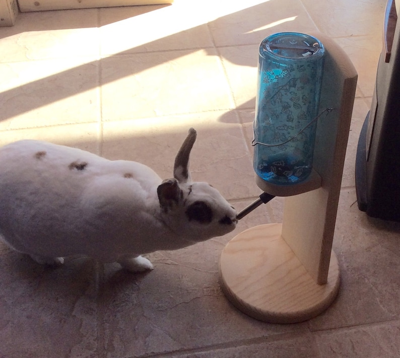 Water bottle holder for Rabbit guinea pig or chinchilla image 2
