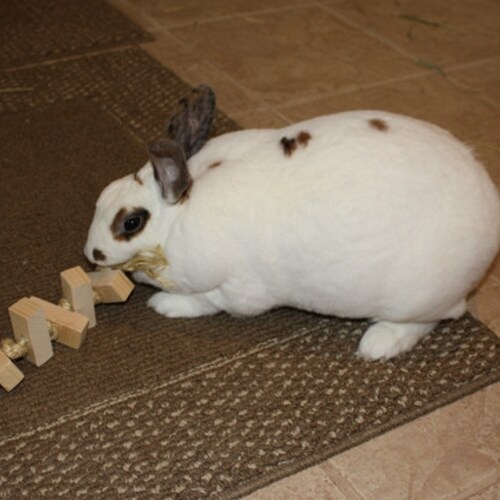 Rabbit Toysisal Rope Etsy