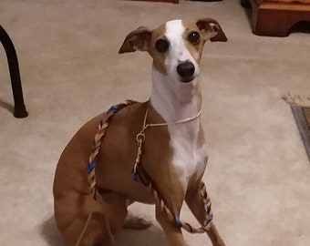 Braided Bullhide lead, Sand, tie dye, leather, handmade leash