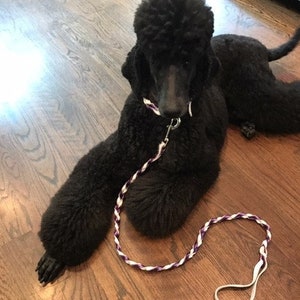 Braided leash, White and Metallic Purple, Braided Leather Leash, Handmade Leash