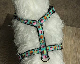 Harness, Cupcakes