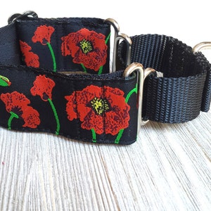 1 1/2&quot; Floral Pattern Martingale with Reducer, Italian Grehound, Whippet