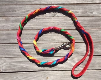 May include: A rainbow colored leather dog leash with a silver clip. The leash is braided with red, yellow, blue, green, and purple leather.