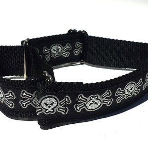 1 1/2&quot; Metallic Slulls Martingale Collar,