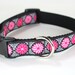 see more listings in the Dog Collars 1" section