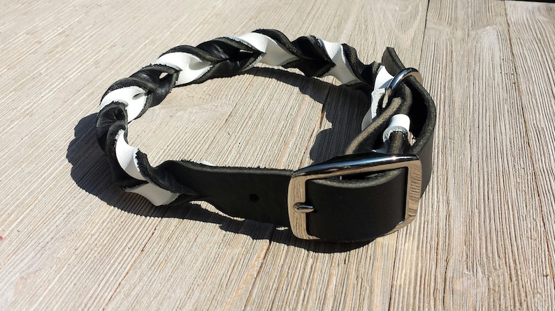 3/4 Wide Braided Leather Collar, Black Latigo and other Bullhide Color image 3