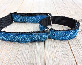 May include: A blue and black dog collar with a paisley pattern. The collar is made of nylon and has a silver metal buckle.