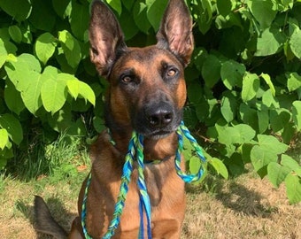 Braided Bullhide lead and Lime Metallic leather, tie dye, leather, handmade leash