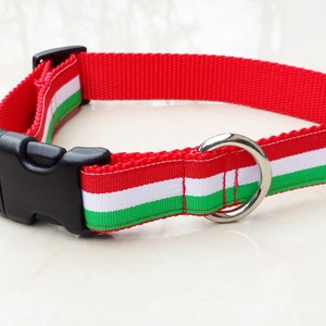 3/4&quot; Adjustable Dog Collar, Buckle Collar,  Italian flag