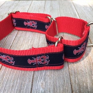 Lobster, 1 1/2&quot; Wide Martingale Collar with Buckle