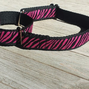 1&quot; Wide Jacquard Martingale Collar, Pink Zebra
