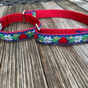 Martingala de 3/4" con flores de montaña, Edelweiss