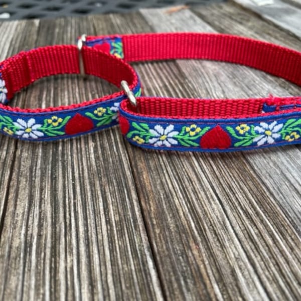 3/4" Martingale with Mountain Flowers, Edelweiss