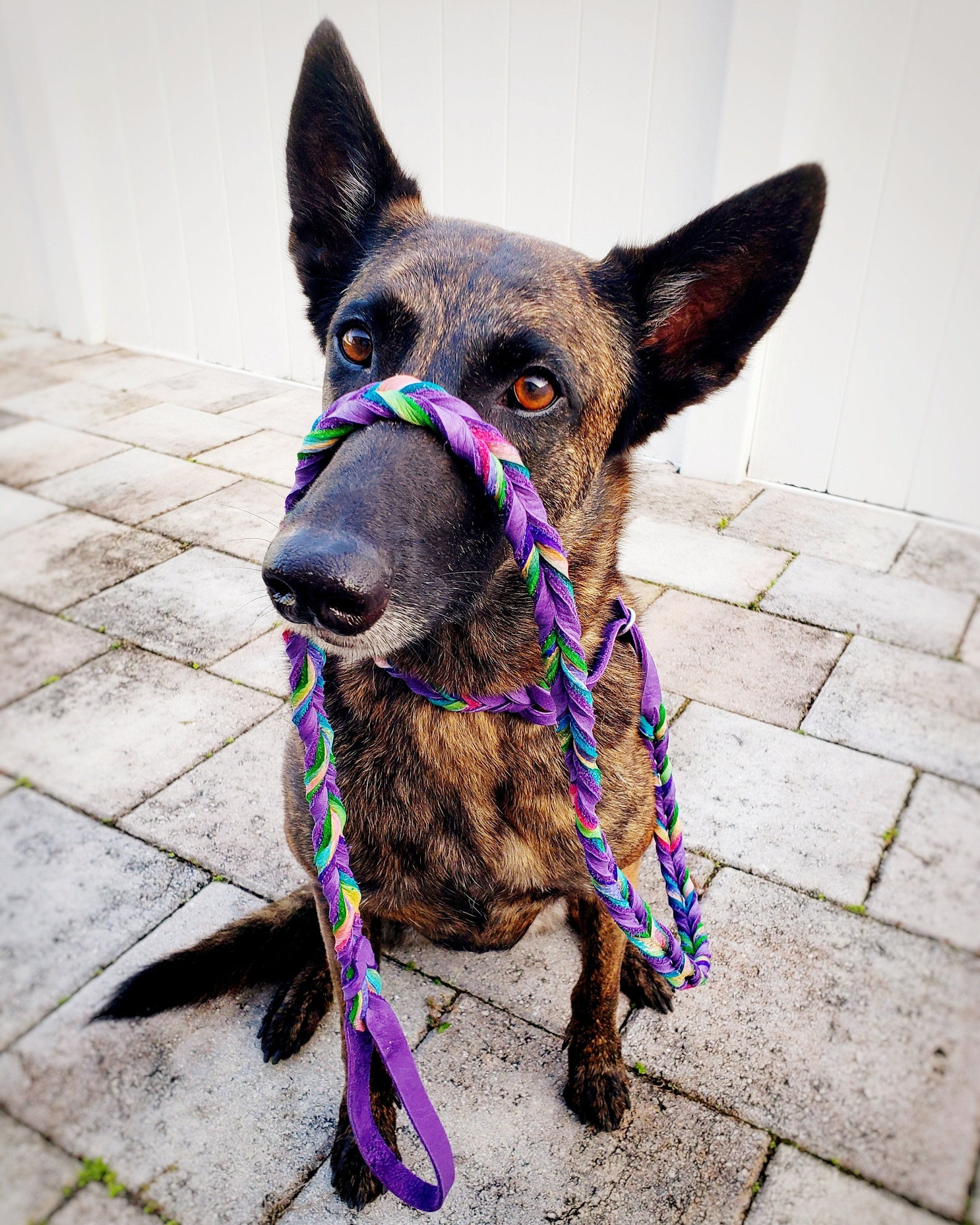 Braided Bullhide Martingale Agility Lead Purple Tie Dye Etsy