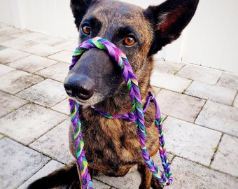 Braided Bullhide Martingale AGILITY Lead, Purple, tie dye, leather, handmade leash