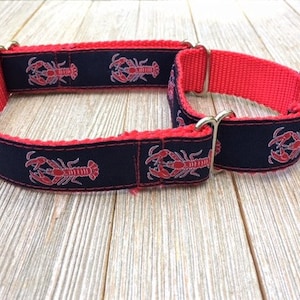 1&quot; Wide Jacquard Martingale Collar, Lobster