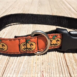 Pumpkin, Halloween, 5/8&quot; Dog Collar, Side release buckle