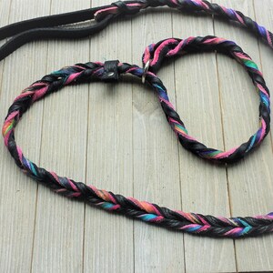 May include: A black leather dog leash with a braided multi-colored leather collar. The leash has a black handle and the collar has a silver metal buckle.