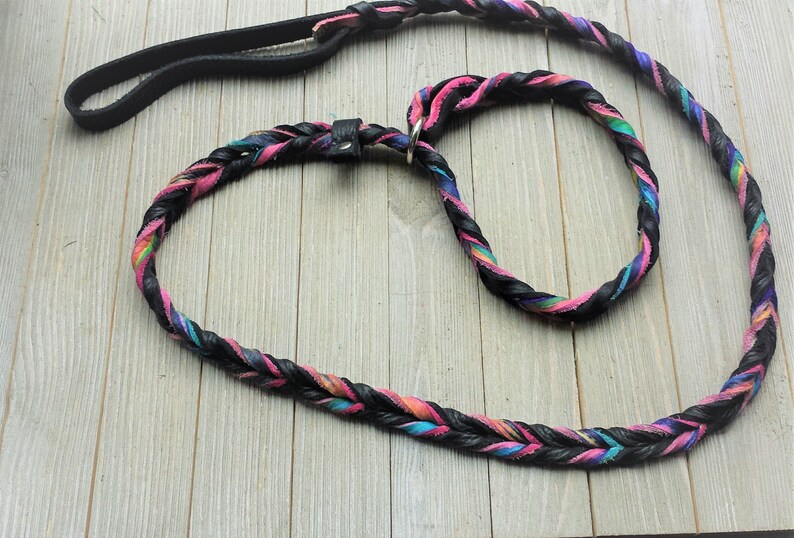 May include: A black leather dog leash with a braided multi-colored leather collar. The leash has a black handle and the collar has a silver metal buckle.