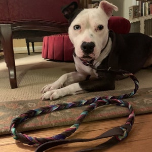 Braided Bullhide Martingale Agility Lead, Chocolate, tie dye leather leash, handmade leash