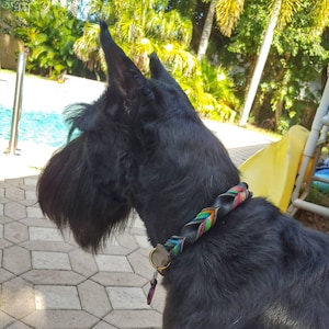 Leather Collar, Braided with a traditional brass  buckle, Custom Leather Dog Collar, 1&quot; wide.