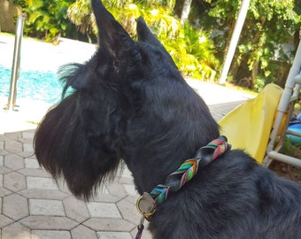 5/8" Leather Collar, Braided with a traditional buckle, Custom Leather Dog Collar