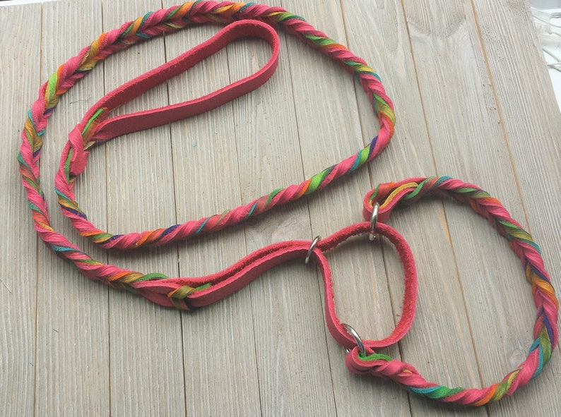 Leather Agility Slip Lead Leash for Dog Agility Martingale Etsy