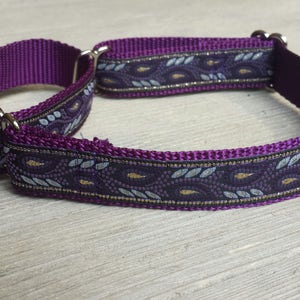 1&quot; Wide Jacquard Martingale Collar, Purple, Metallic, Paisley