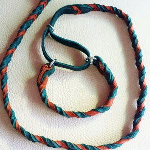 5&#39; Leather Agility Slip Lead, Leash for Dog Agility,  Martingale Leash, Soft leather
