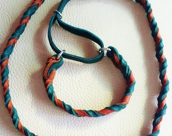 May include: A braided leather dog leash and matching collar in teal and brown colors. The leash has a loop at one end for attaching to a collar or harness.