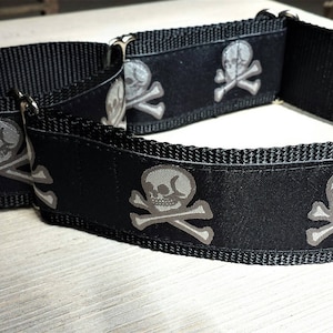 2&quot; Wide Jacquard Martingale Collar, Skull, Pirates