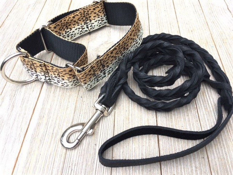 1 12 Wide Martingale Collar /& Fully Braided Leash Leopard Pattern 10/% off of total purchase