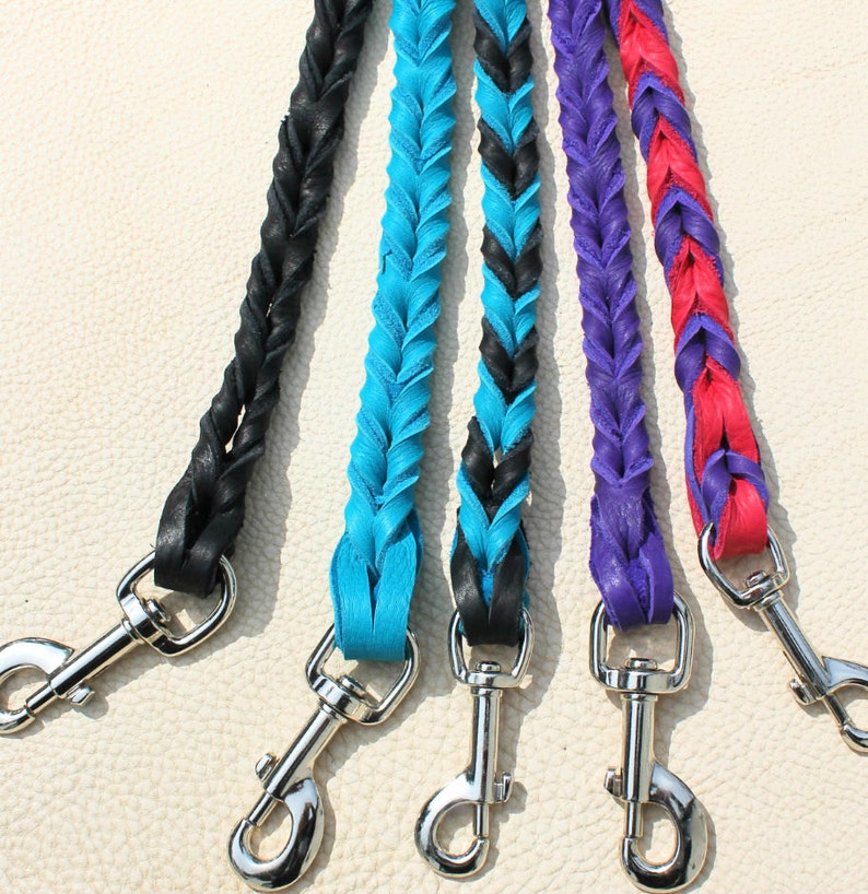 Braided Bullhide lead leather handmade leash 5 foot long